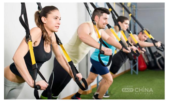 Фото товара Ленты для тренировок дома P3 Pro