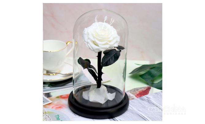 Вечная роза в колбе Вечная роза в колбе