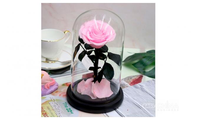Вечная роза в колбе Вечная роза в колбе
